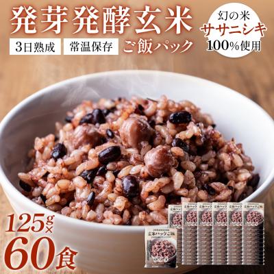 ふるさと納税 石巻市 【常温】3日熟成発芽発酵玄米ご飯パック 60食 幻の米@石巻産ササニシキごはん
