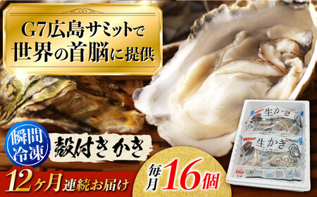 【全12回】冷凍殻付き牡蠣16個 牡蠣[XBL014]牡蠣牡蠣牡蠣牡蠣牡蠣