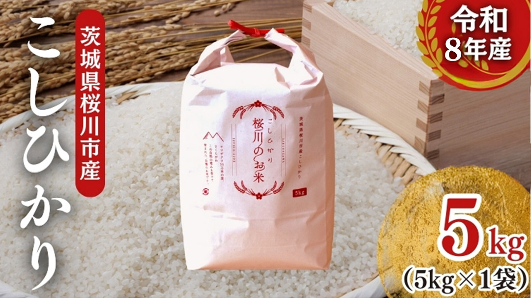 《 令和8年産 》 桜川市産 こしひかり 5kg 新米 先行予約 茨城県 桜川市 米 お米 白米 コメ ごはん 精米 コシヒカリ 国産 限定 銘柄米 [SC051sa]