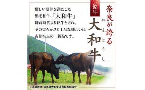 H-45 大和牛 焼肉セット【年末年始12月26日ー1月7日の着日指定不可】