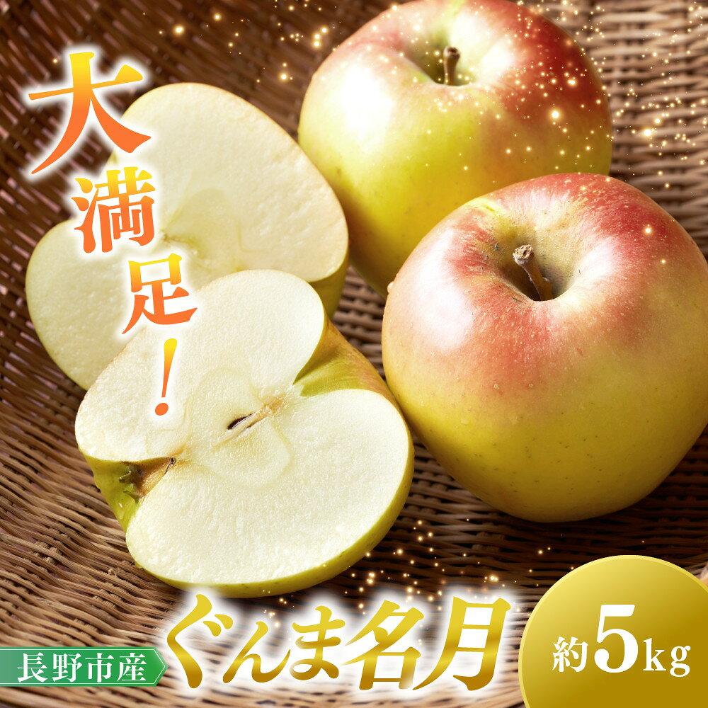 【ふるさと納税】ぐんま名月5kg