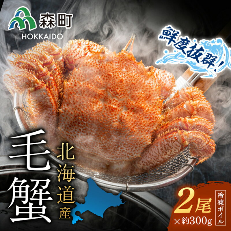 【ふるさと納税】【先行予約】北海道産 冷凍ボイル毛がに 300g前後×2尾＜海鮮問屋　株式会社　瑞宝＞ かに カニ 蟹 ガニ がに 森町 ふるさと納税 北海道 毛蟹 毛かに 毛ガニ 毛カニ mr1-0953