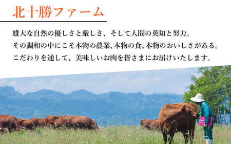 北海道 北十勝 短角牛 ハンバーグ 160g×3個《足寄町》【北十勝ファーム】肉 ハンバーグ 牛肉 赤身 和牛 160g ギフト 十勝 北海道産 道産 あしょろ 北海道 [BEAI004]