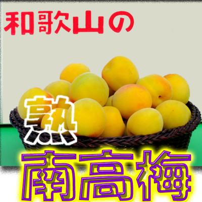 ふるさと納税 紀美野町 【梅干・梅酒用等】紀州和歌山の熟南高梅(3Lまたは2L-2kg) 6月上旬から順次発送