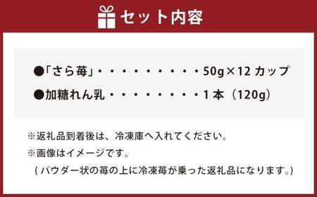いちご 冷凍 50g×12カップ 合計600g 練乳  完熟 冷凍 いちご 「さら苺」 50g×12カップ 合計600g 練乳付き 1本（120g） 園村苺園 熊本県産冷凍いちご 宇城市産冷凍いちご 