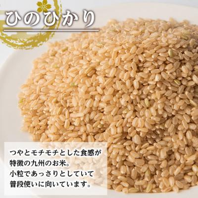 ふるさと納税 出水市 出水産ひのひかり玄米(5kg×1袋)_I504-v02 |  | 01