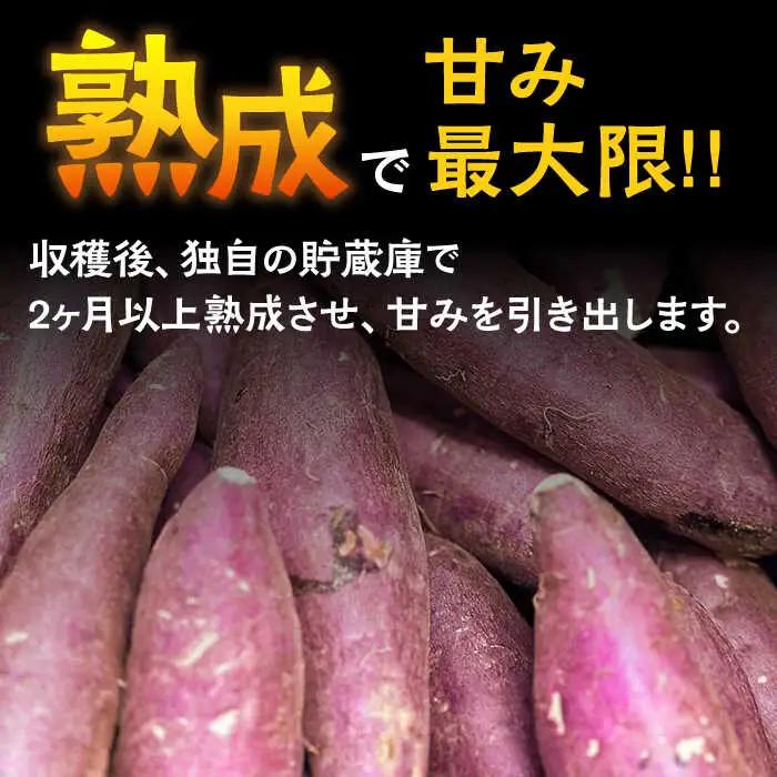 【数量限定】【ねっとり甘い熟成サツマイモ】冷凍焼き芋（紅はるか） 20本(S?M) / さつまいも やき芋 冷凍 小分け 個包装 冷やし焼き芋 / 南島原市 / 池田海陸物産 [SEW001]
