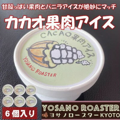 【ふるさと納税】カカオ果肉入りアイス　バニラアイスと甘酸っぱい果肉が相性バツグンのアイスクリーム　京都与謝野町より【配送不可地域：離島】【1623418】