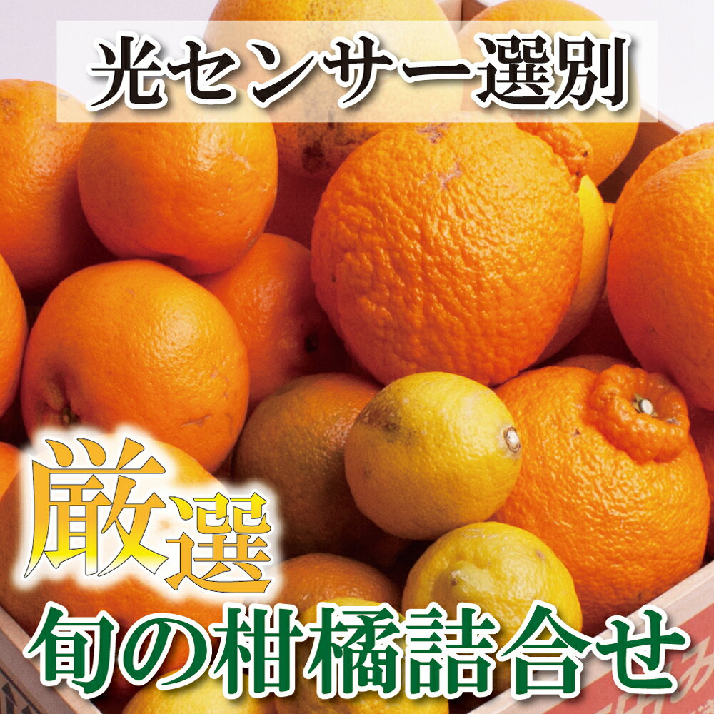 【ふるさと納税】 厳選 旬の柑橘詰合せ 1.5kg+45g(傷み補償分) / 3kg+90g(傷み補償分) / 5kg+150g(傷み補償分) / 7.5kg+225g(傷み補償分) 【有田の春みかん詰め合わせ・フルーツ詰め合せ・オレンジつめあわせ】【光センサー選別】＜2025年1月上旬〜4月下旬ごろに順次発送＞
