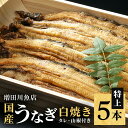 【ふるさと納税】 増田川魚店うなぎ白焼＜特上5本＞ うなぎ 白焼き 特上 5本 愛知県三河産 国産 ウナギ 鰻 しらやき タレ 山椒付き 炭火焼き 冷蔵便 贈答用 ギフト 家庭用 土用の丑 茨城県 潮来市 (A07-001)