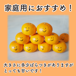【せとか】 先行予約 訳あり せとか 3kg みかん 蜜柑