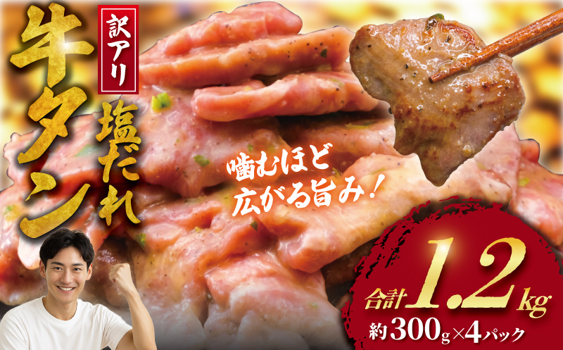 牛タン 計 1.2kg 塩ダレ ( 300g × 4 パック ) 切り落とし 牛たん 牛 たん タン 牛肉 塩 たれ タレ 味付 gyutan 訳アリ 訳有 訳有り わけあり 訳あり品 ワケアリ 焼肉 おすすめ 肉 お肉 ビーフ ぎゅうにく 簡単調理 BBQ おかず 冷凍 焼き肉 タカギフーズ 神奈川 湘南 藤沢市