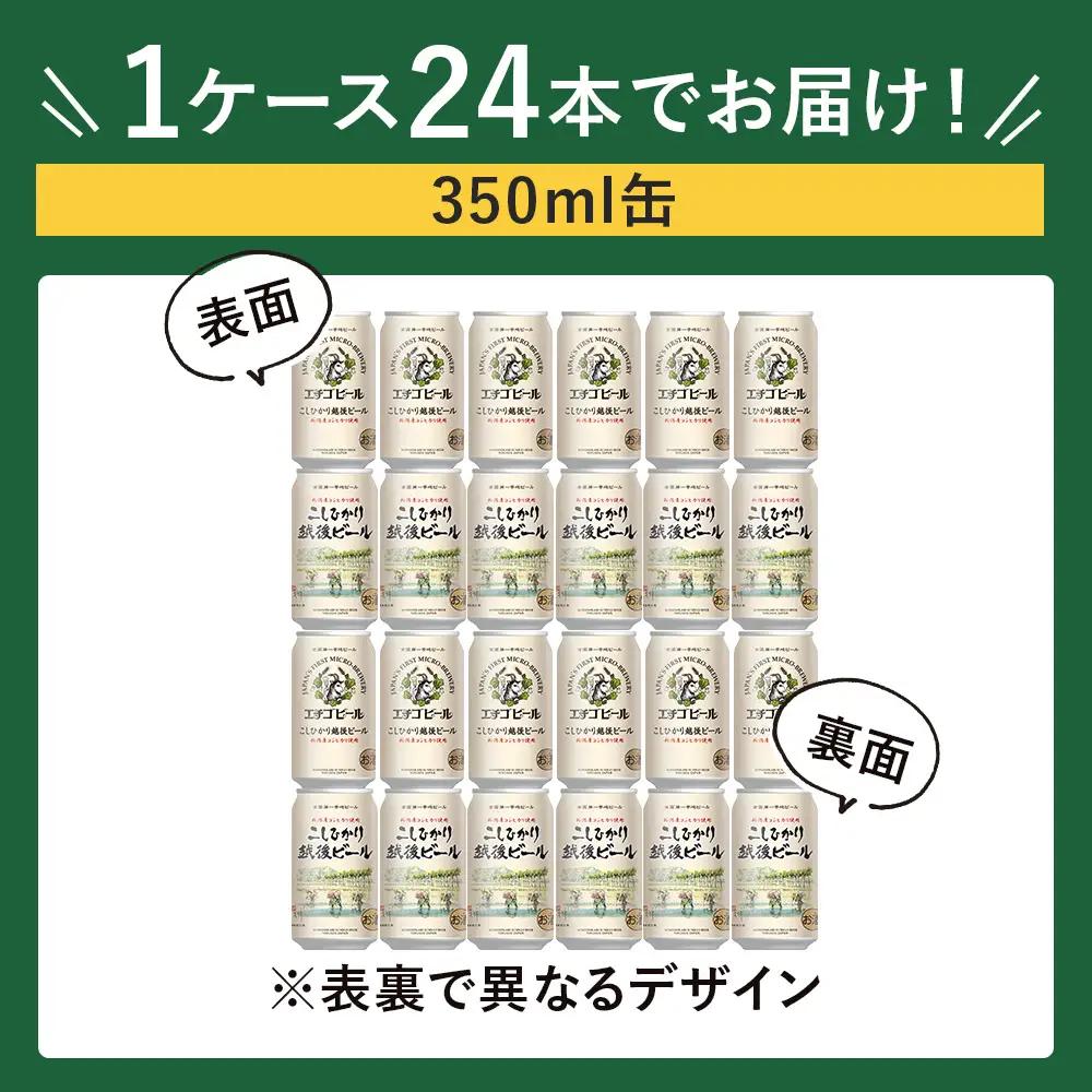 クラフトビール エチゴビール こしひかり越後ビール 350ml 缶 24本 〔P-447〕 クラフトビール 地ビール コシヒカリ 那須町