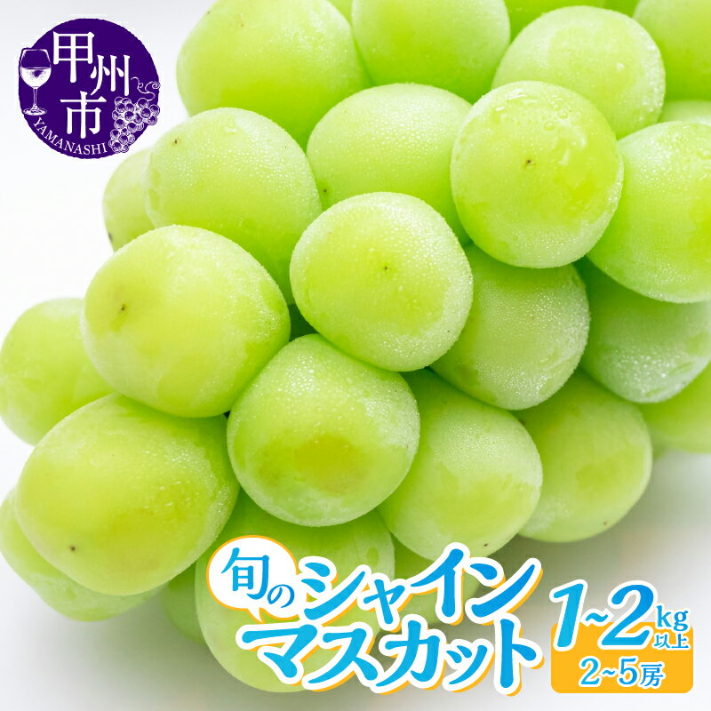 【ふるさと納税】 シャインマスカット 果物 選べる内容量 1kg以上～2kg以上 2～5房 甲州市 山梨県 フルーツ ぶどう 葡萄 ブドウ 数量限定 期間限定 8月 9月 10月 発送 2025年発送 甘い 果実 くだもの 人気 名産 種なし ジューシー 山梨県産 甲州市産 社員マスカット （LKS）