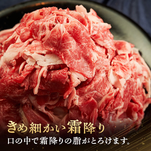 伊賀牛 切り落とし 1kg 三重県 冷凍 伊賀牛