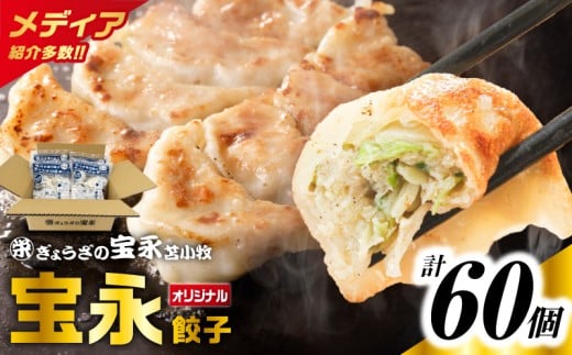 ぎょうざの宝永 宝永餃子 15個入セット（宝永餃子15個入×4袋）合計1.5kg　T004-001