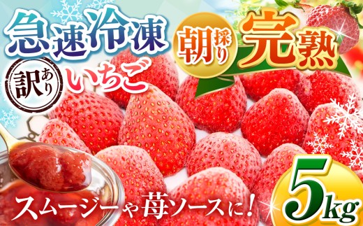 冷凍いちご 訳あり 国産 千葉県産 バラ冷凍 小粒 規格外 不揃い 5kg 完熟 急速冷凍 ヘタ取り | 渡邉いちご園 冷凍イチゴ 冷凍苺 いちご イチゴ 苺 スムージー ジャム ヨーグルト おやつ デザート フルーツ 果物 朝採り 新鮮 千葉県 君津市 きみつ