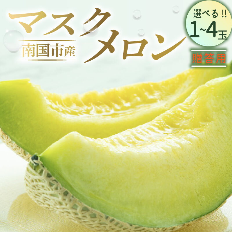 【ふるさと納税】 贈答用 マスクメロン 1個 2個 4個 メロン 1玉 2玉 4玉 ギフト フルーツ 果物 くだもの 食品 デザート 高評価 厳選 高級 贈り物 人気 おすすめ 産地直送 ふるさと納税メロン ふるさと納税 めろん 西島園芸団地 高知県 南国市