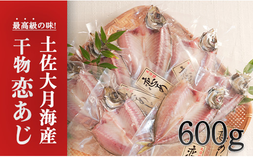 
土佐大月海産　高級アジの干物 恋あじ 600g
