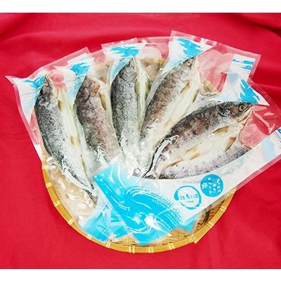 ふるさと納税 四万十町 アメゴ(あまご)の一夜干し　Ess-11