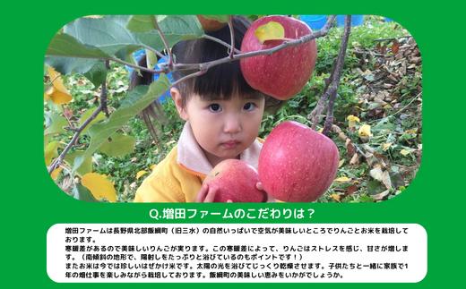 りんご サンふじ 訳あり 5kg 増田ファーム 沖縄県への配送不可 2024年12月上旬頃から2025年2月上旬頃まで順次発送予定 令和6年度収穫分 信州 果物 フルーツ リンゴ 林檎 長野 予約 農