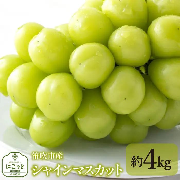 【2026年発送★先行予約】シャインマスカット4kg 097-021-26y