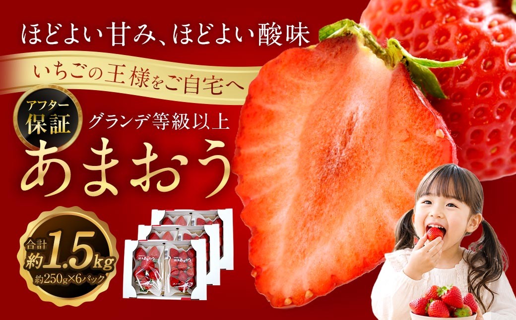 
                  あまおう （ グランデ等級以上 ） 約250g × 6P 計約1,500 ～ 1,620g いちご イチゴ 苺 果物 くだもの フルーツ 果実 果肉 いちごの王様 国産 福岡県産 冷蔵 【 2027年2月上旬～4月下旬発送予定 】
                