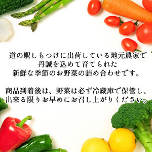 下野市産 季節の 野菜 詰め合わせ  | 野菜 詰め合わせ セット 新鮮 栃木県 特産品 下野市 しもつけ市