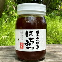 【ふるさと納税】【青森県十和田市産】日本みつばち蜂蜜550g【配送不可地域：離島】【1414003】