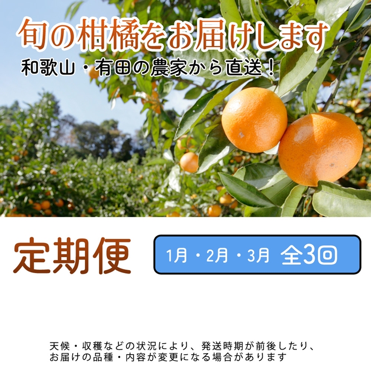 【定期便】家庭用 柑橘定期便 S 3回（1～3月）※北海道・沖縄・離島への配送不可※1月・2月・3月に発送
