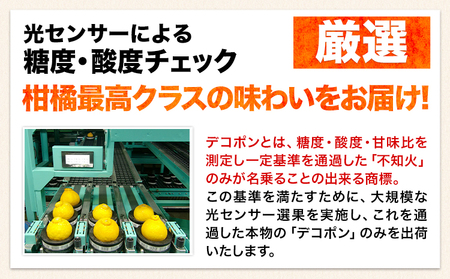 先行予約 デコポン 訳あり デコポン 約 2kg 前後 (4-10玉前後) 《2月上旬-4月上旬頃出荷》不知火と同品種 フルーツ 果物 みかん 柑橘