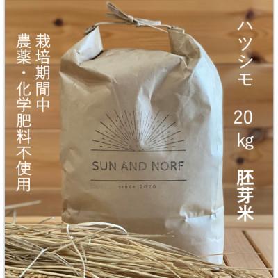 ふるさと納税 養老町 【令和7年産】初霜(源種)胚芽米20kg　(栽培期間中農薬・化学肥料不使用)