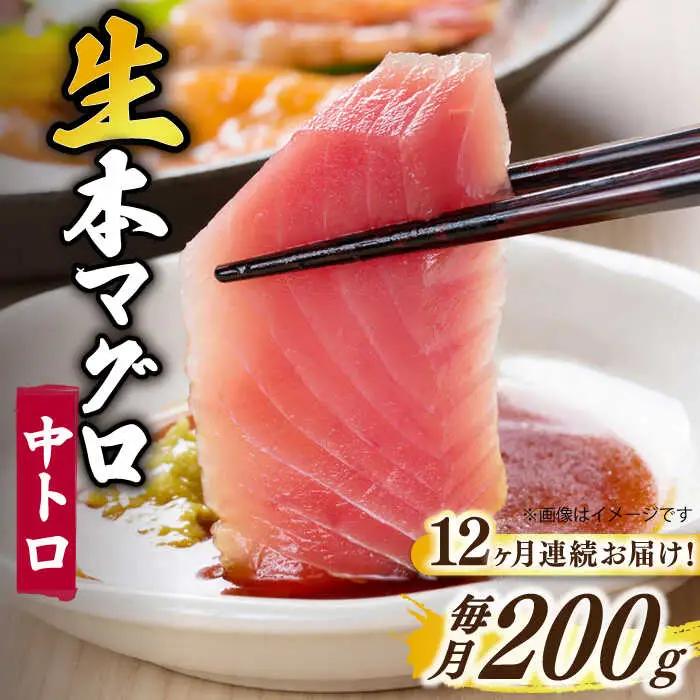【全12回定期便】五島列島産養殖生本かみマグロ 中トロ 200g [RBP028] 本マグロ 本まぐろ 本鮪 本マグロ 本まぐろ 本鮪 本マグロ 本まぐろ 本鮪 本マグロ 本まぐろ 本鮪九州 長崎