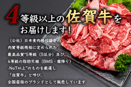 【定期便12回】佐賀牛 食べ比べ 定期便 モモスライス 肩ロース サーロインステーキ 切り落し ローストビーフ 焼肉 サイコロステーキ モモブロック V-45