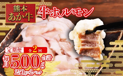 【定期便2回】希少な和牛ホルモン！ 熊本和牛 あか牛 ホルモン 500g (250g×2パック) × 2回 もつ鍋 焼肉 肉 牛肉 もつ コラーゲン 冷凍 小分け 熊本県 水上村