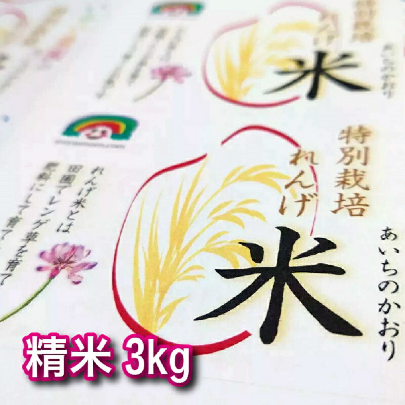 【ふるさと納税】特別栽培れんげ米 日進市産 あいちのかおり 3kg × 1袋 米 白米 精米 特別栽培米 コメ お米 おこめ 愛知 愛知県 日進市