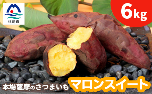 本場鹿児島さつまいも【マロンスイート】6kg　2026年10月中旬より発送A3-59【配送不可地域：離島】
