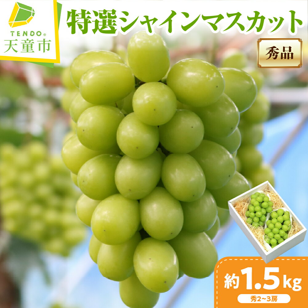 【ふるさと納税】ぶどう ( 特選 シャインマスカット ) 約1.5kg 山形県産 ぶどう ブドウ 葡萄 果物 フルーツ 秀品 ご家庭用 のし 贈答 ギフト プレゼント おすそ分け 旬 秋 期間限定 冷蔵便 送料無料 先行予約 【 山形県 天童市 】
