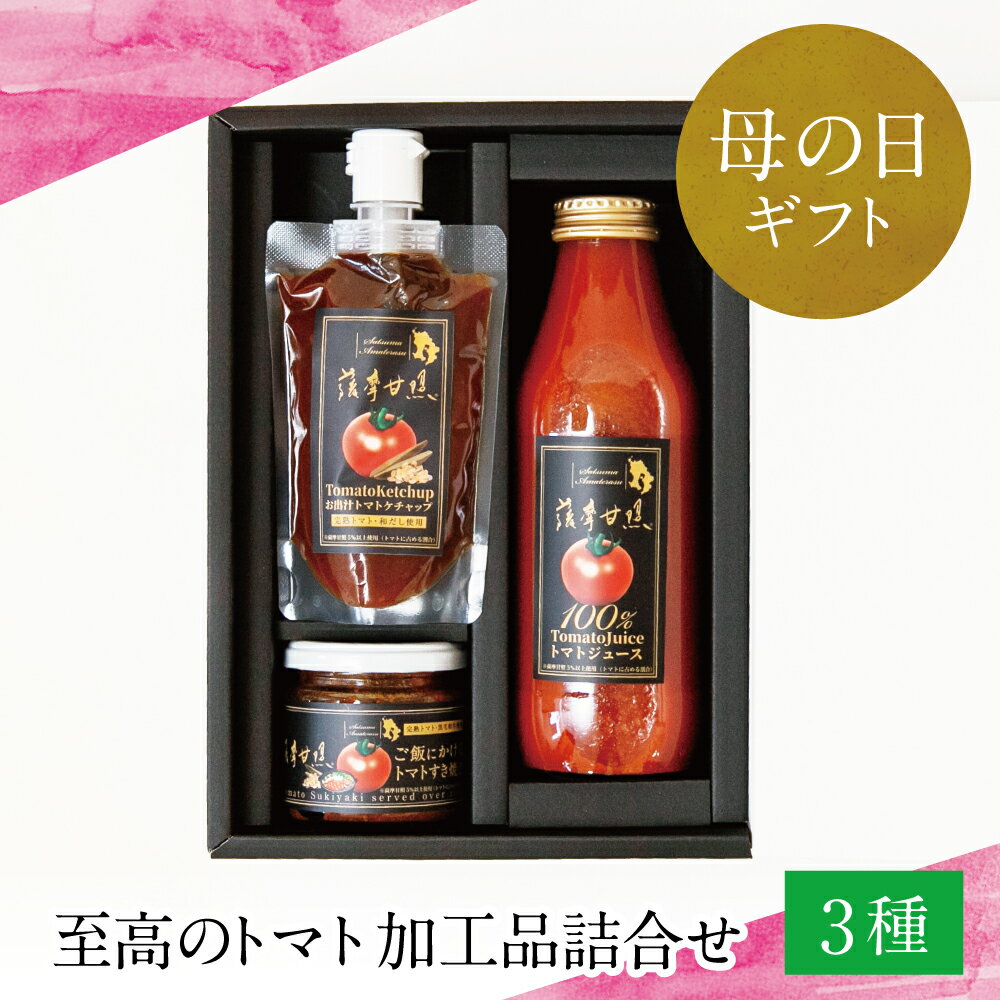 【ふるさと納税】【母の日ギフト】至高のトマト加工品詰合せ 3種類 南国 フルーツトマト100%使用 薩摩甘照 さつまあまてらす トマトジュース トマトケチャップ 濃厚 コク 甘み 天然素材 とまと 野菜 飲料 ドリンク 高槻電器工業 南さつま市 贈り物 ギフト 贈答用 送料無料
