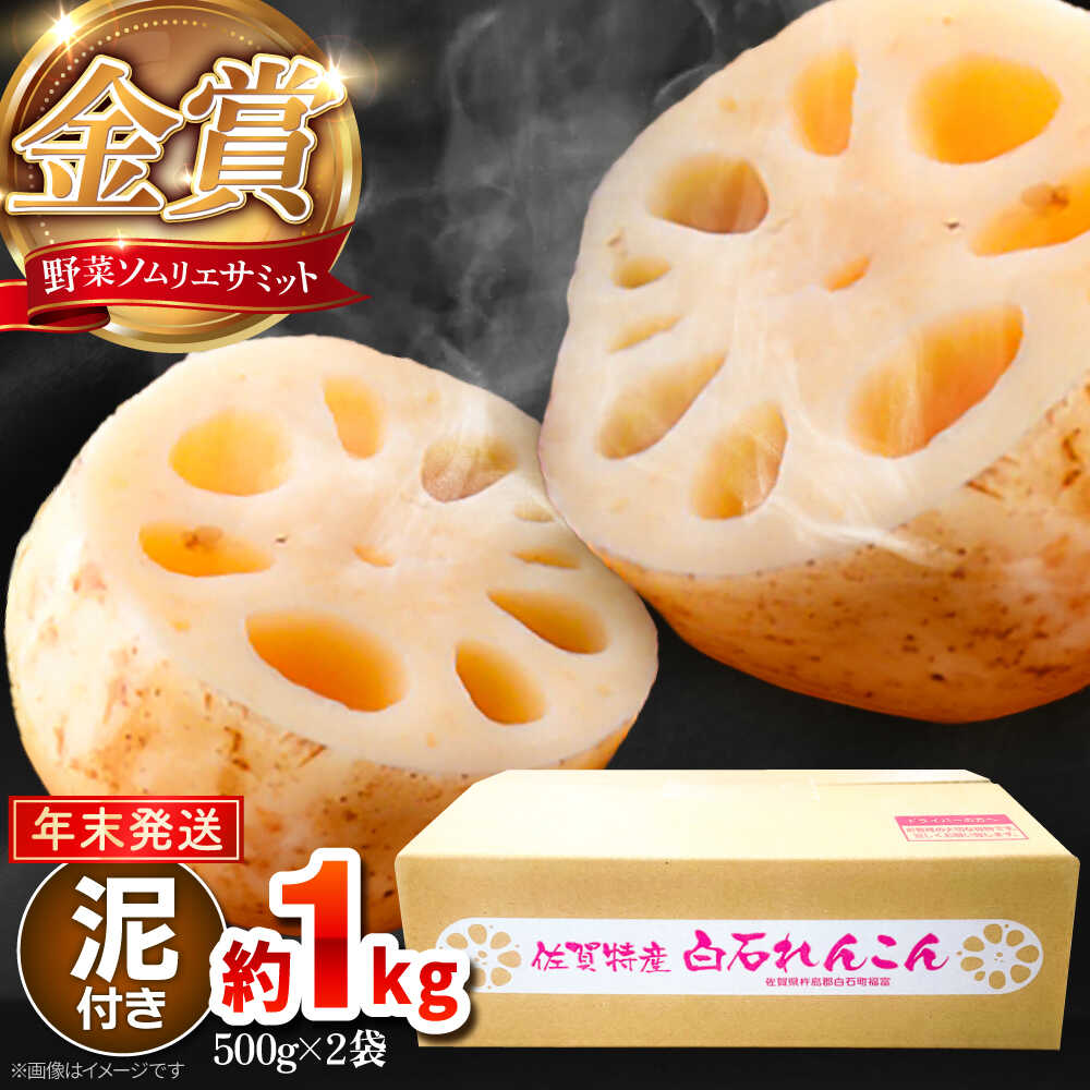 【ふるさと納税】 【先行予約】 【年末発送】 【金賞受賞！】 松尾青果のこだわり白石れんこん 約1kg（500g×2袋））【松尾青果】 [IBD017]