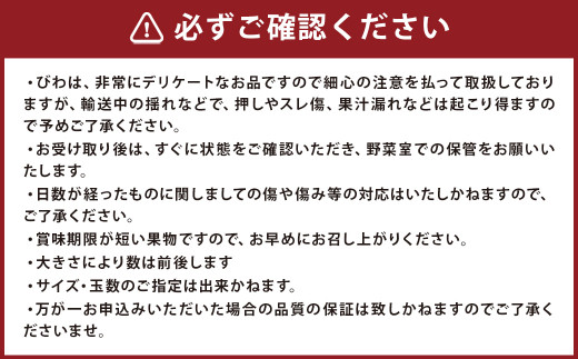 長崎 高級ハウスびわ 500g 化粧箱入り