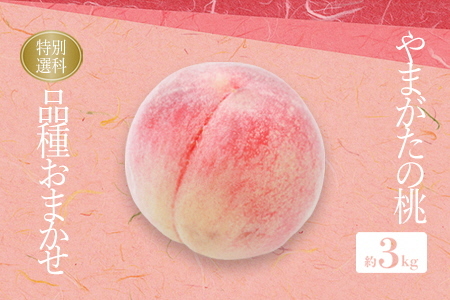 【2026年発送】糖度14度以上保証！「秀品」山形県産 桃（品種おまかせ）約3kg_H207(R8)