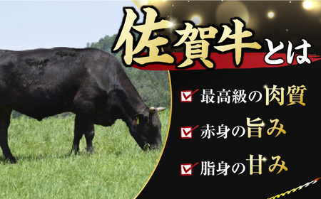 艶さし！ 佐賀牛 ヒレステーキ 300g  (150g×2枚) 吉野ヶ里町 佐賀牛 牛肉 肉 ヒレ ステーキ ブランド牛 国産 [FDB024]