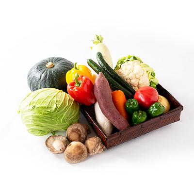ふるさと納税 潮来市 旬の新鮮野菜詰合せセット |  | 01