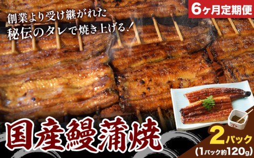 【6ヶ月定期便】鰻 国産鰻蒲焼 2パック 約 120g ×2 有限会社安井家《申込月の翌月より出荷》千葉県 我孫子市  鰻 うなぎ 蒲焼 丑の日 蒲焼き 冷蔵 タレ 山椒【配送不可地域あり】(離島)