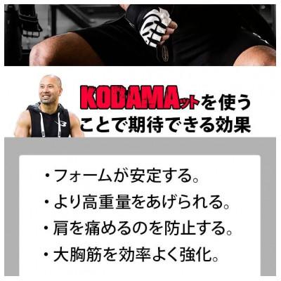 ふるさと納税 吹田市 KODAMAット |  | 03