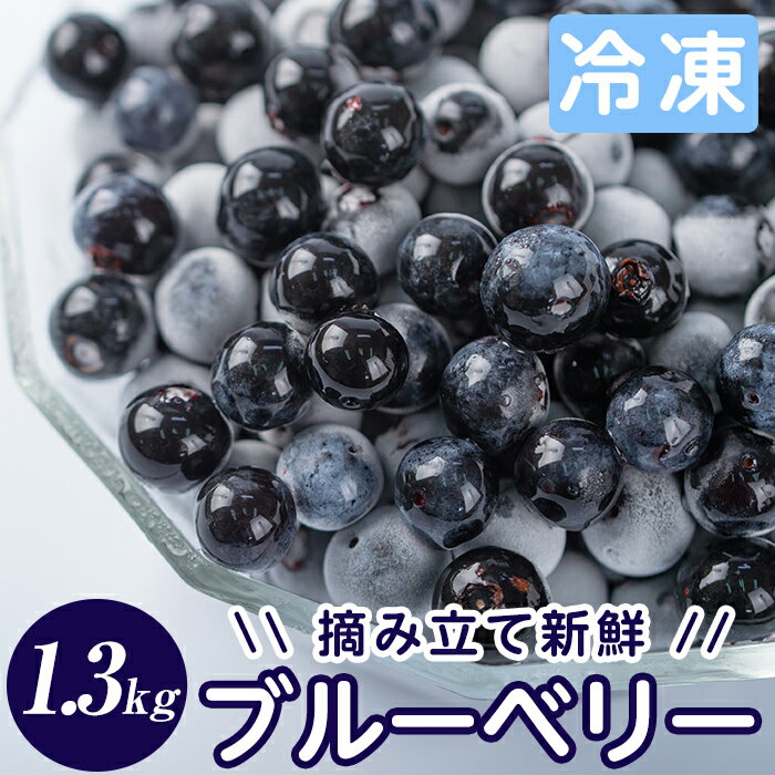 【ふるさと納税】霧島市産ブルーベリー1.3kg(冷凍) 霧島市産 ブルーベリー 冷凍 新鮮 フルーツ【霧島農産加エグループふきのとう】