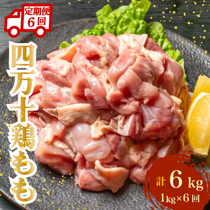 【ふるさと納税】 定期便! 四万十鶏 もも肉 計6kg（1kg×6ヶ月連続お届け) | 精肉 切身 カット 時短 小分け 小分けパック カット済み 鳥肉 とりにく 鶏もも 鶏モモ肉 鶏肉 冷凍 冷凍保存 冷凍ストック 国産 ブランド 銘柄どり 簡単調理 高知県 黒潮町 4Yコース ［1795］