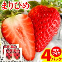 【ふるさと納税】希少！まりひめ　特大サイズ　約300g～350g×4パック きよ農園《2025年2月上旬-3月下頃出荷》 いちご 苺 まりひめ フルーツ 果物 スイーツ 送料無料