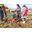 【ふるさと納税】【津南町森林組合】まる1日津南体験（広葉樹植栽体験と秋野菜収穫体験）1名様 | 券 金券 人気 おすすめ 送料無料